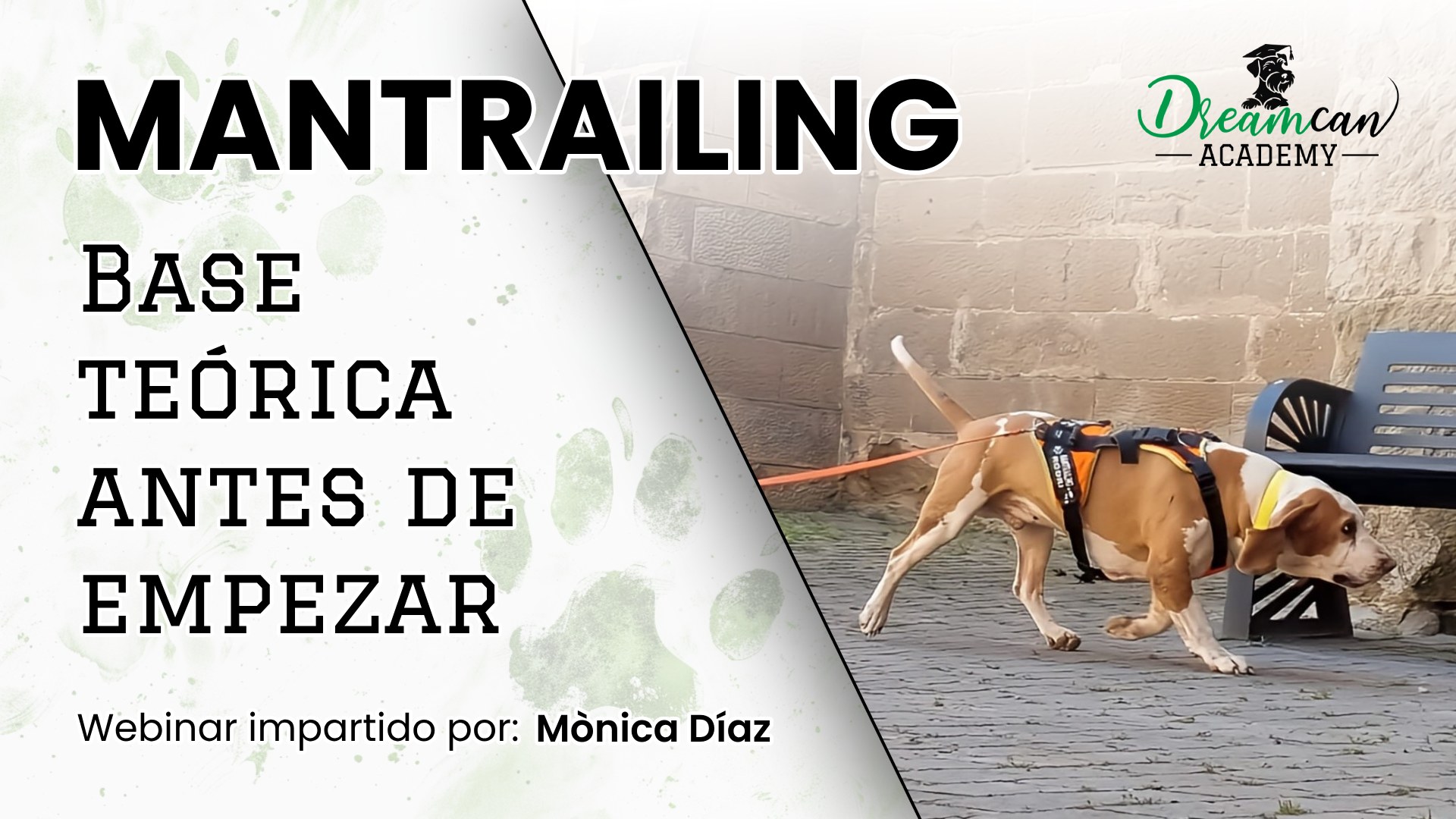MANTRAILING. Base teórica antes de empezar
