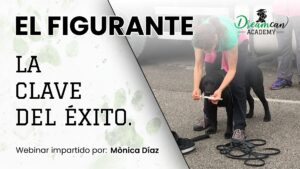 EL FIGURANTE. LA CLAVE DEL ÉXITO.