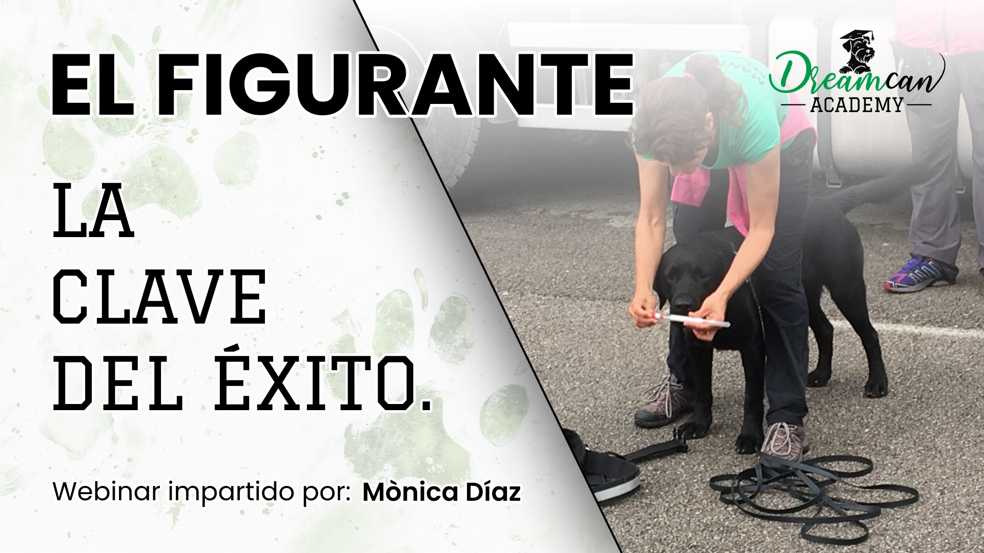 EL FIGURANTE. La clave del éxito.