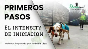 PRIMEROS PASOS: EL INTENSITY DE INICIACIÓN.