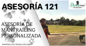 ASESORÍA 121 PERSONALIZADA