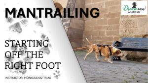 MANTRAILING. Starting off the right foot.