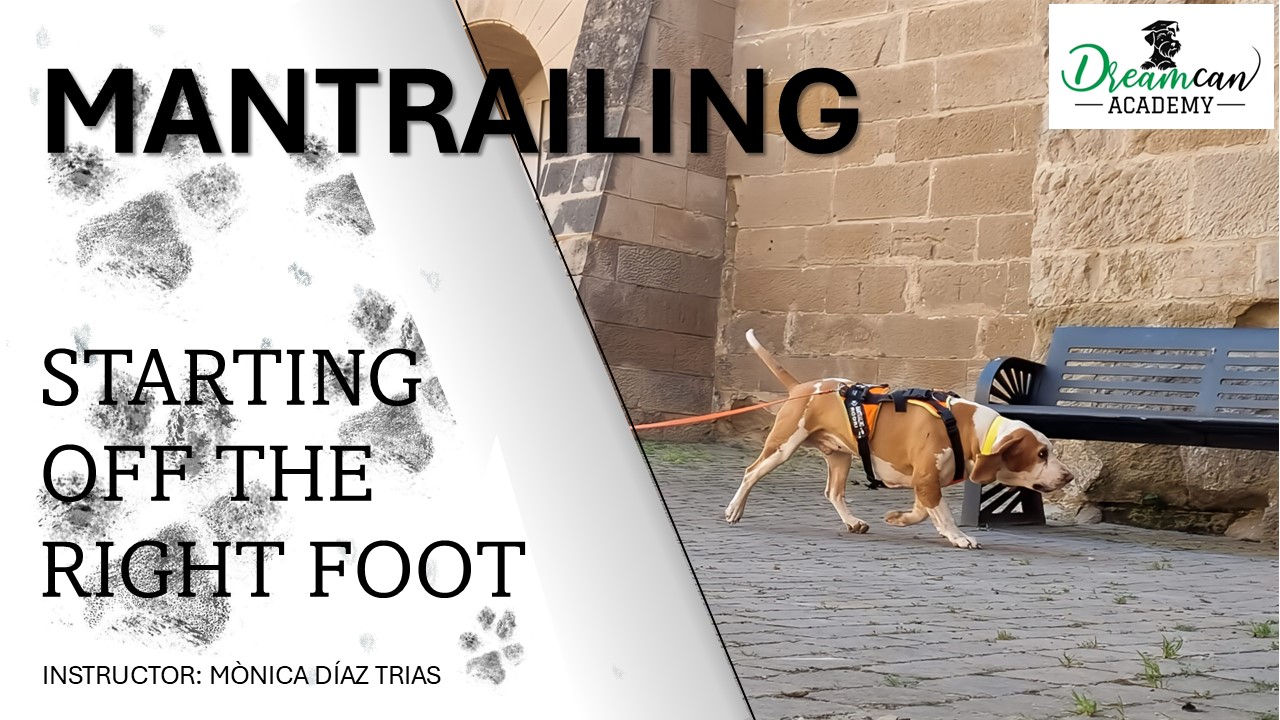 MANTRAILING. Starting off the right foot.