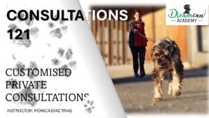 CONSULTATIONS 121 (English)