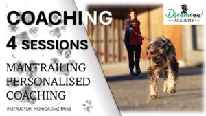 COACHING- 4 SESSIONS (English)
