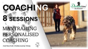 COACHING - 8 SESSIONS (English)
