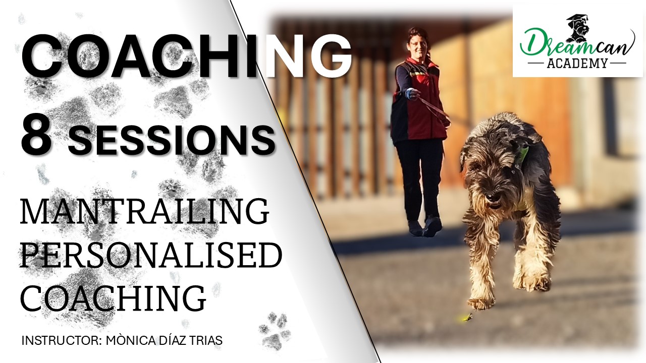 COACHING - 8 SESSIONS (English)