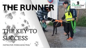 THE RUNNER. The key to success