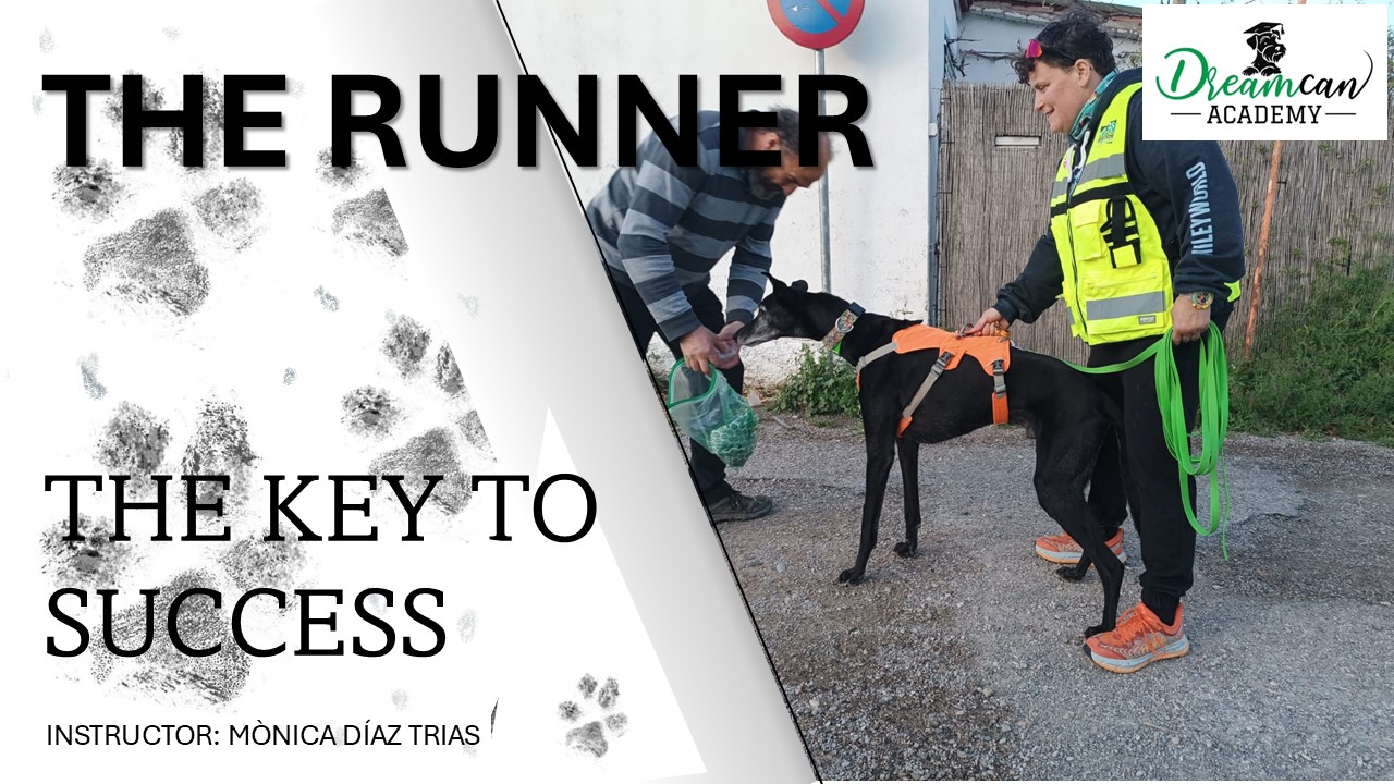 THE RUNNER. The key to success