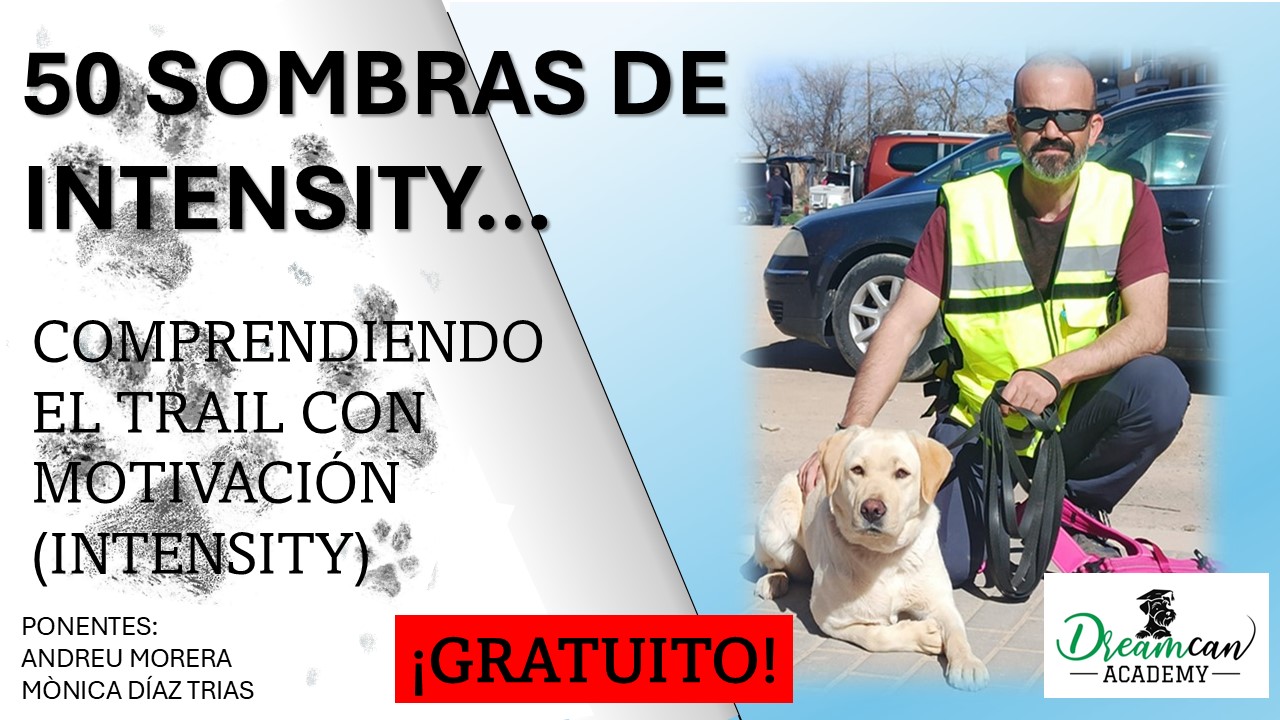 50 SOMBRAS DE INTENSITY: COMPRENDIENDO EL TRAIL CON MOTIVACIÓN