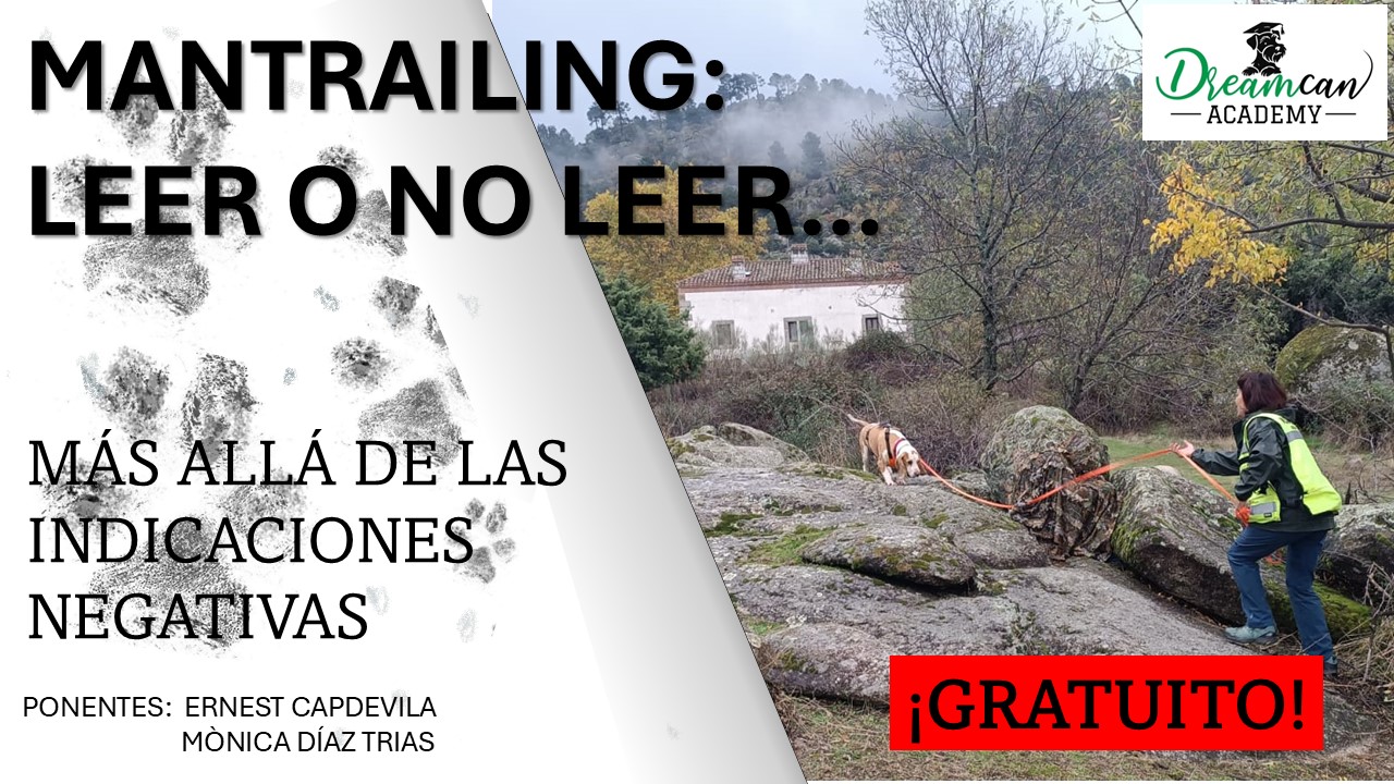 MANTRAILING: LEER O NO LEER. MÁS ALLÁ DE LAS INDICACIONES NEGATIVAS.