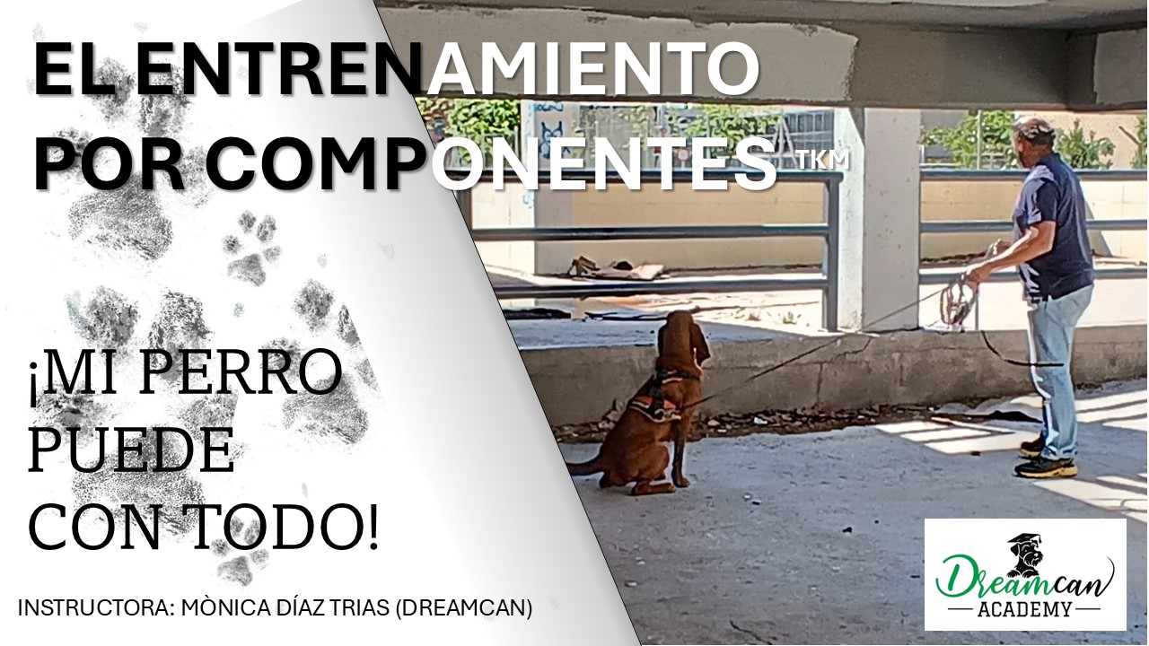 EL ENTRENAMIENTO POR COMPONENTES.