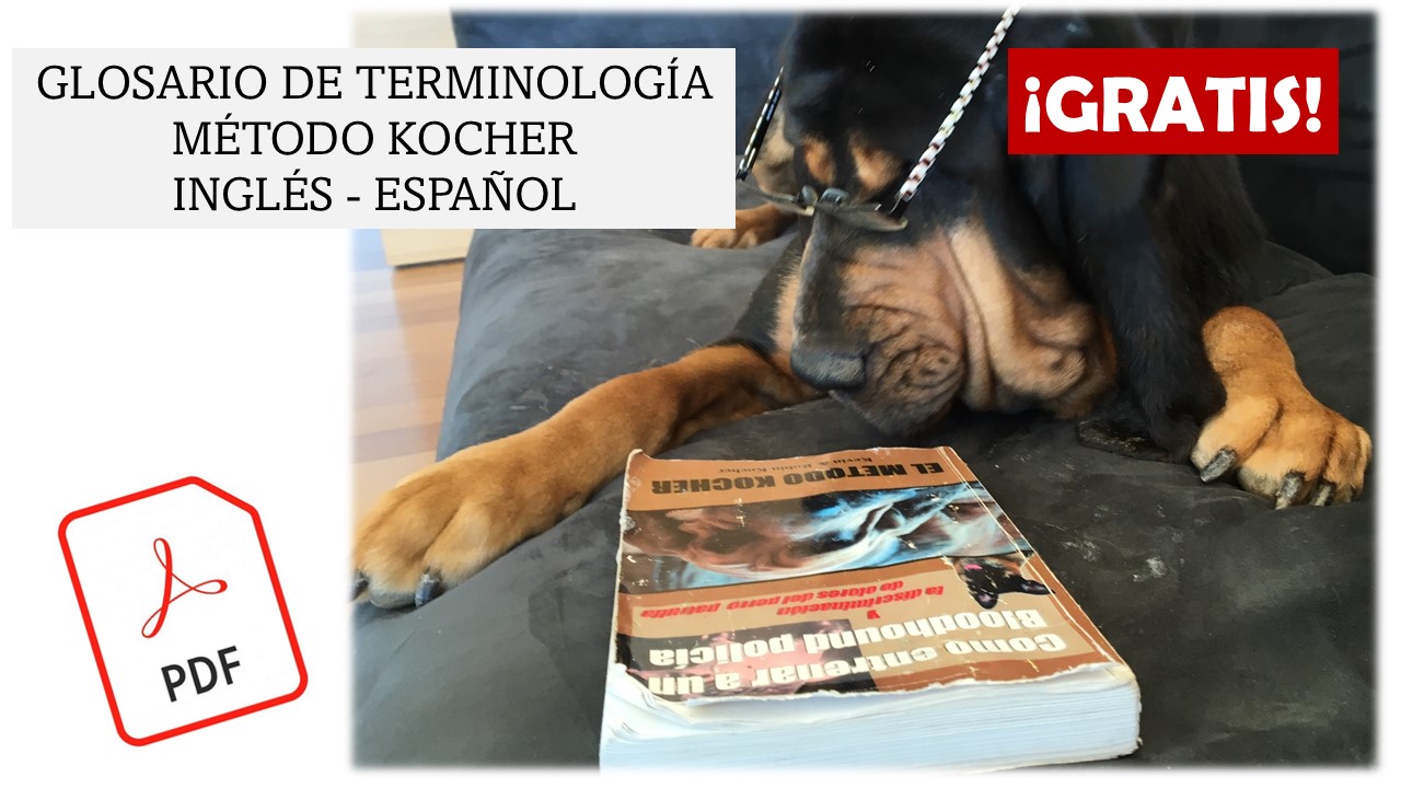 GLOSARIO DE TERMINOLOGÍA (MÉTODO KOCHER) EN-ES