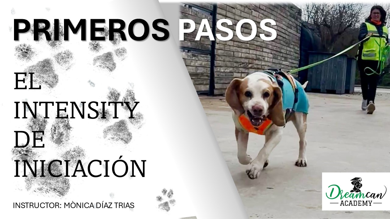 PRIMEROS PASOS. El Intensity de Iniciación.