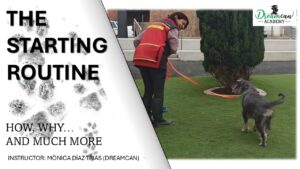 THE STARTING ROUTINE