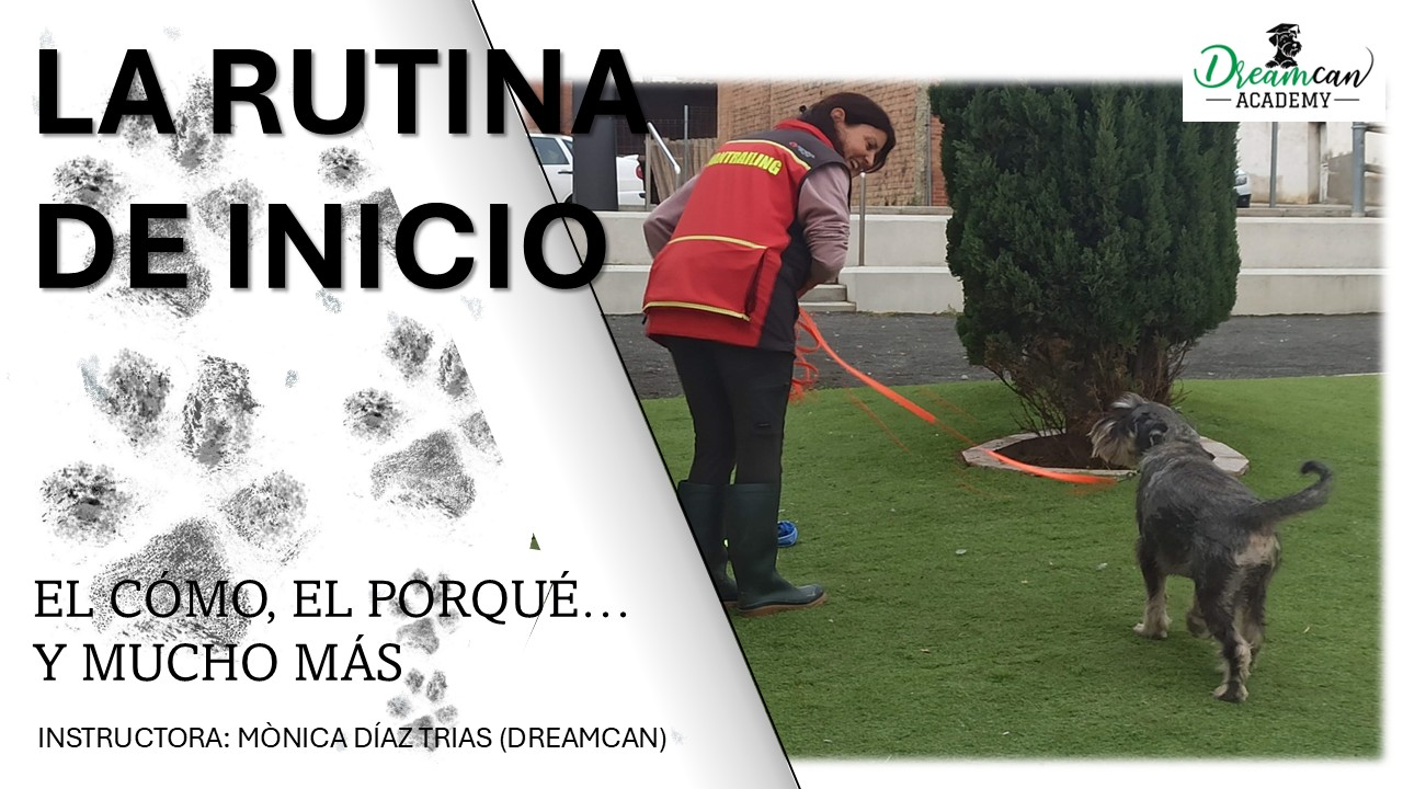 LA RUTINA DE INICIO.