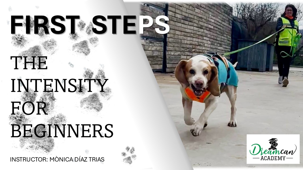 FIRST STEPS. The Intensity for beginners.