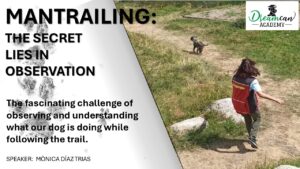 MANTRAILING: THE SECRET LIES IN OBSERVATION