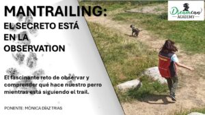 EL SECRETO ESTÁ EN LA OBSERVACIÓN