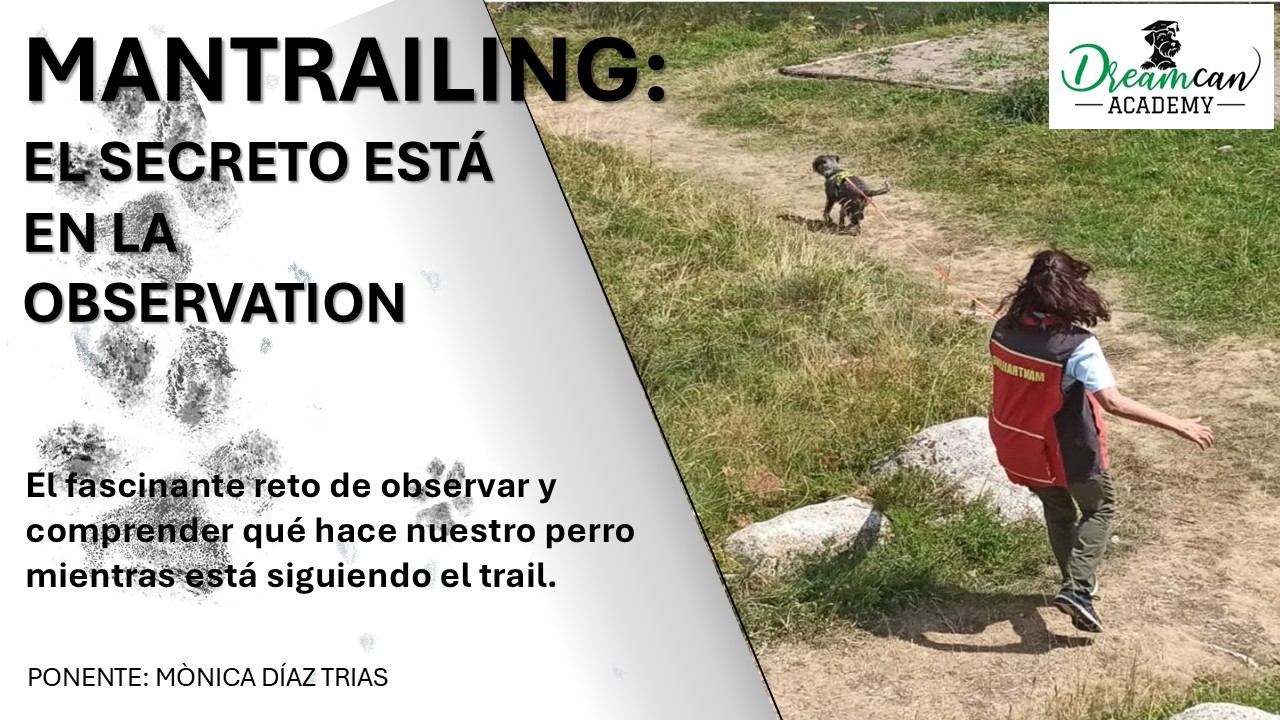 EL SECRETO ESTÁ EN LA OBSERVACIÓN