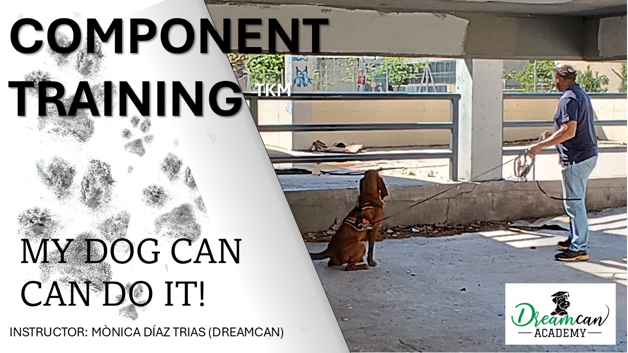 COMPONENT TRAINING: MY DOG CAN DO IT!!
