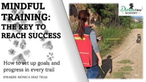 MINDFUL TRAINING: THE KEY TO REACH SUCCESS