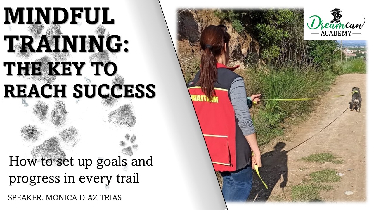 MINDFUL TRAINING: THE KEY TO REACH SUCCESS