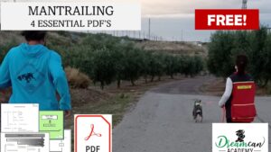 MANTRAILING - 4 ESSENTIAL FLIERS (ENGLISH)