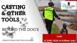 CASTING AND OTHER TOOLS