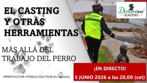 EL CASTING Y OTRAS HERRAMIENTAS