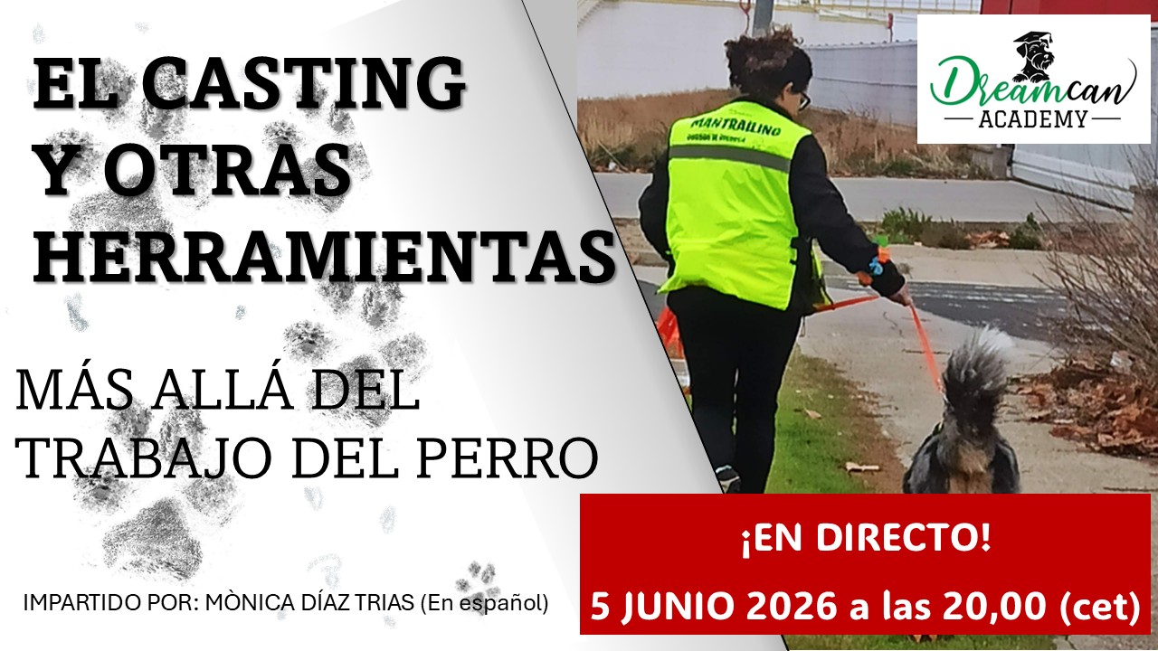 EL CASTING Y OTRAS HERRAMIENTAS