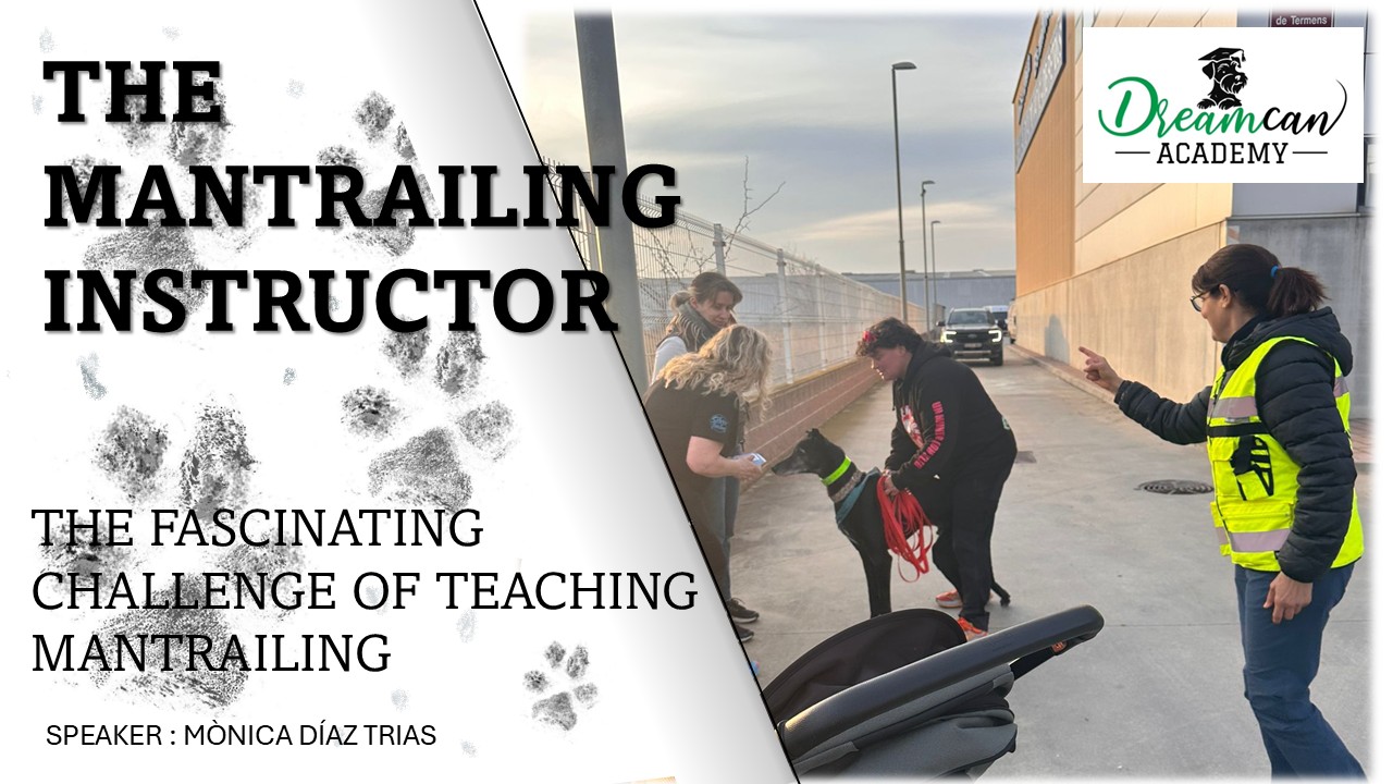 THE MANTRAILING INSTRUCTOR