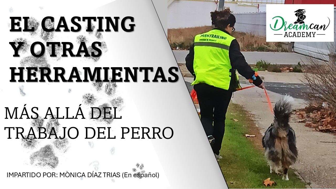EL CASTING Y OTRAS HERRAMIENTAS
