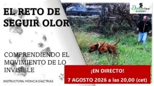 EL RETO DE SEGUIR OLOR