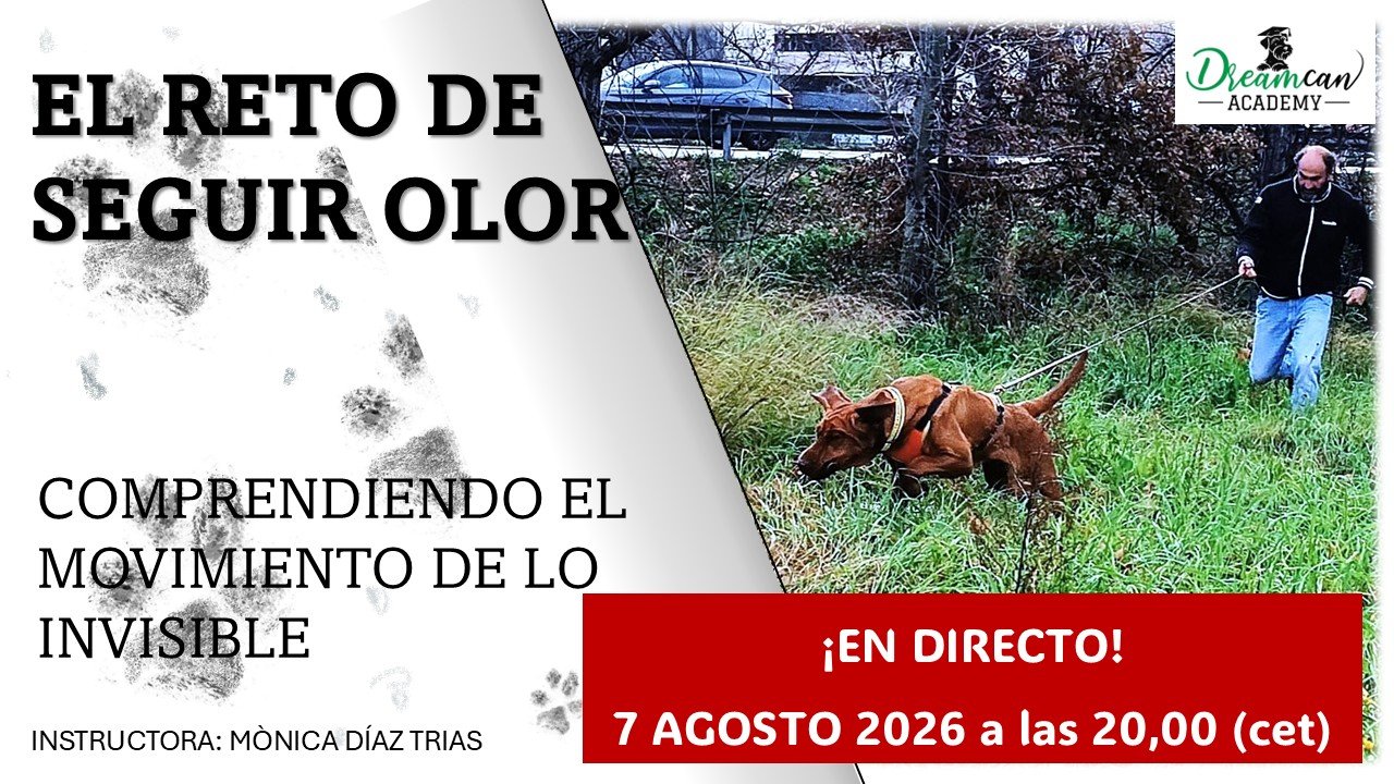 EL RETO DE SEGUIR OLOR