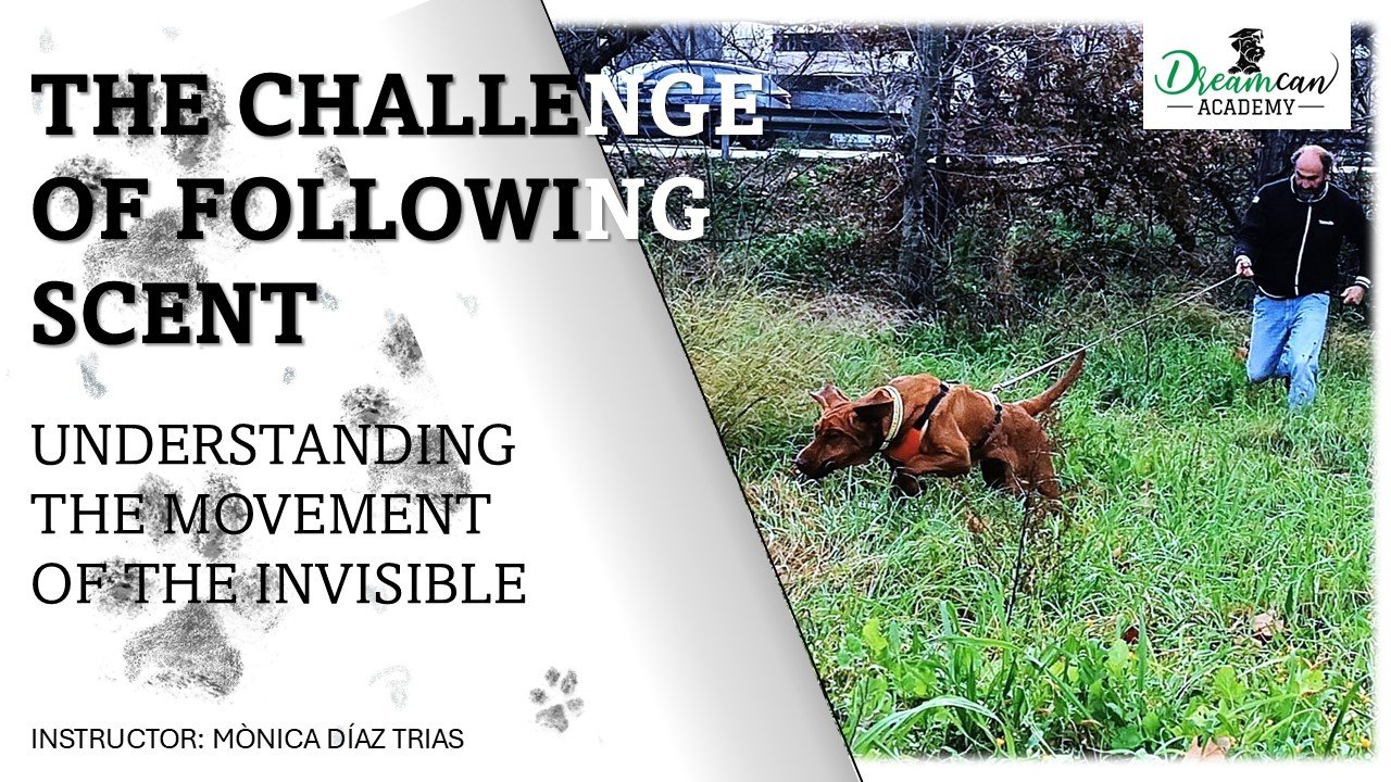 THE CHALLENGE OF FOLLOWING SCENT.